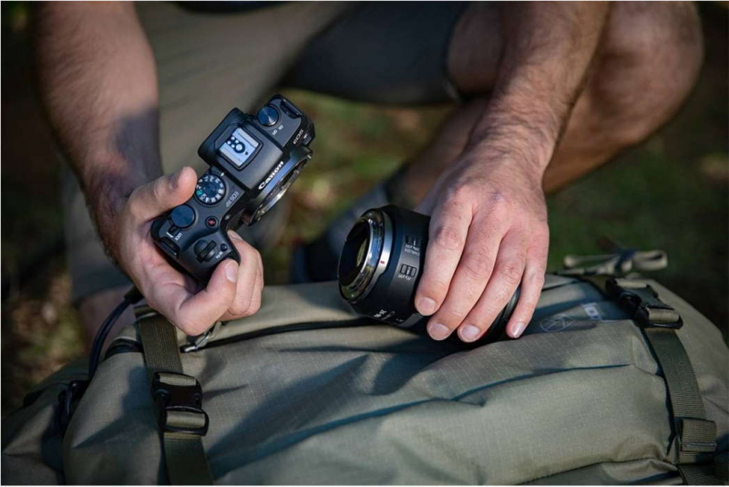 Испытание Африкой: первая съемка на полнокадровую беззеркальную камеру Canon EOS RP